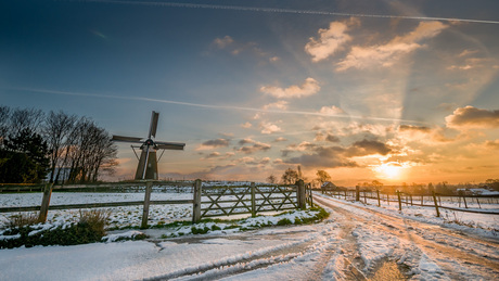 Hollands landschap