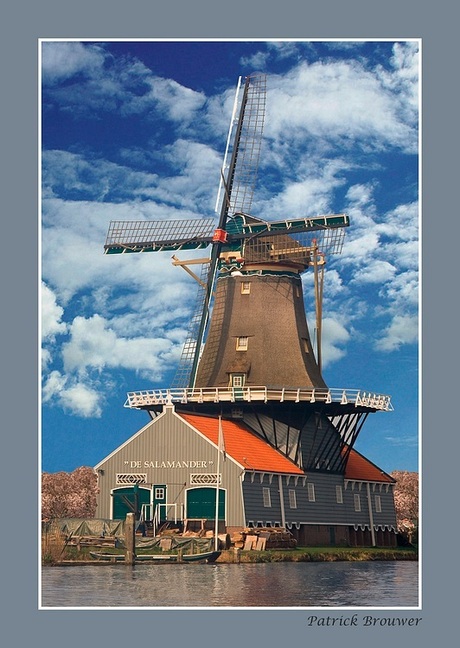 Molen