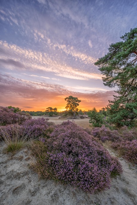 Een mooi begin  van de dag