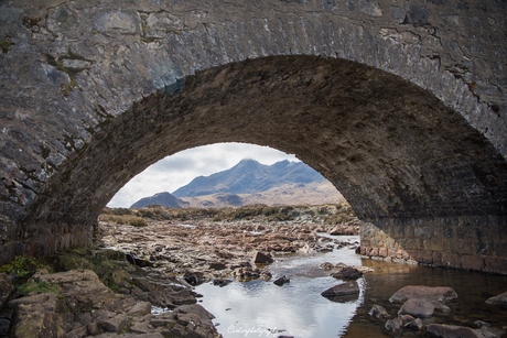 Under the Bridge