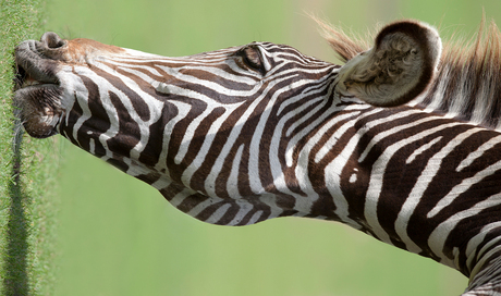 Grazing from a different angle