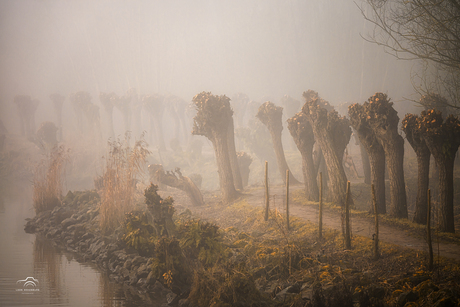 Mistige Grienen van Barendrecht