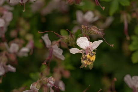 Summerschool Macro (1)