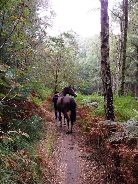 Samen in de natuur