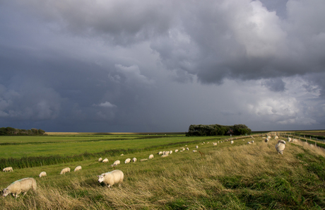 Eindelijk droog geworden