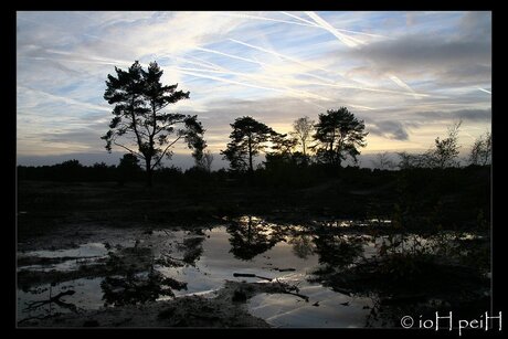 Soesterduinen