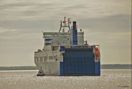 DFDS TOR LINE