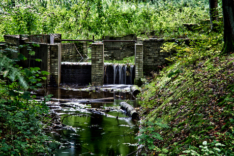 Waterloopbos hdr