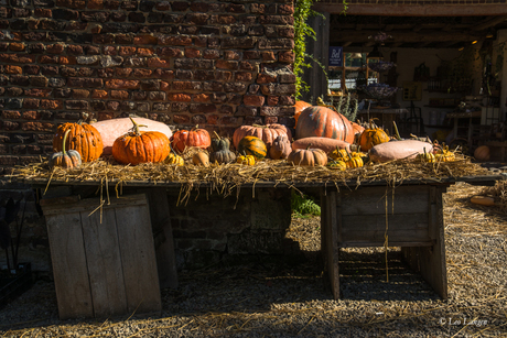 Een tafel vol herfstgevoel.