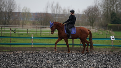 lenstest |Sigma 70-200 | F2.8