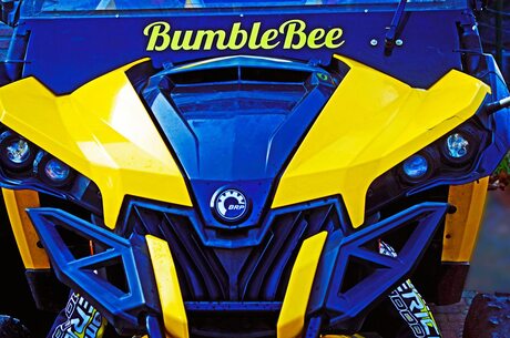 Bumble Bee