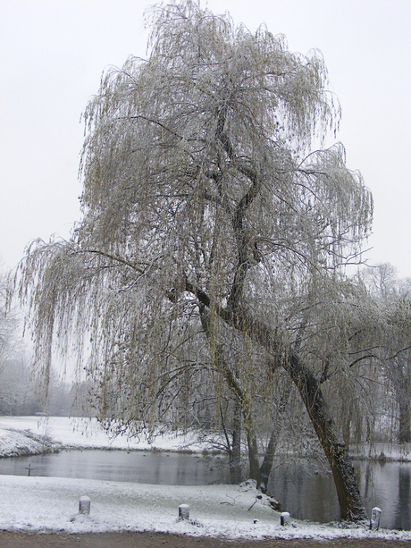 Wintertafereel in Hemmen