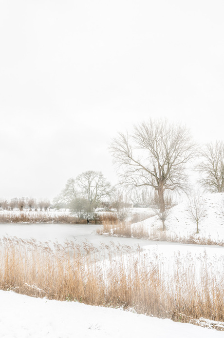 Slot gracht Slot Loevestein