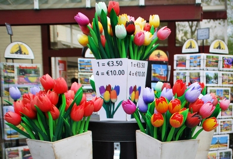 souvenir van Keukenhof