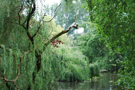 tropisch vondelpark