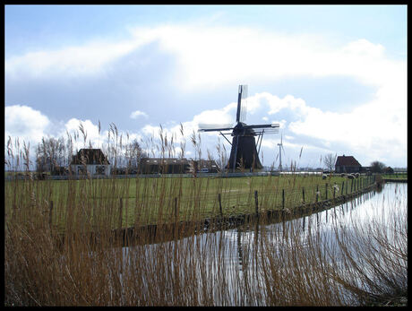 Friese landschap