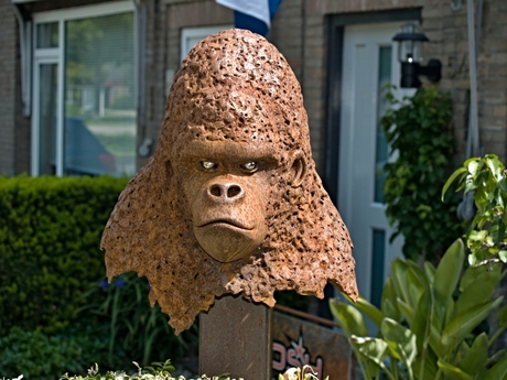 Gorilla (head).