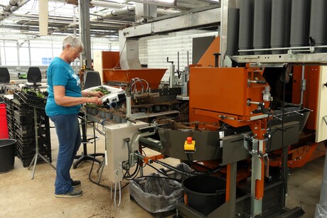 P1300750   KOM IN DE KAS   Naast veel robotwerk ook Handwerk  bij CV.CO   tuin nr6  11 april 2026  