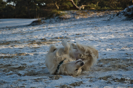 Genieten van het kleine beetje sneeuw