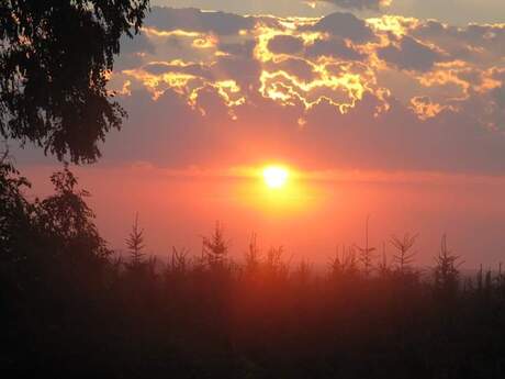 Zonsondergang Anne V M