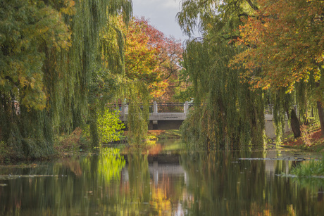 Herfst in Amersfoort 