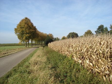 Rust van de polder