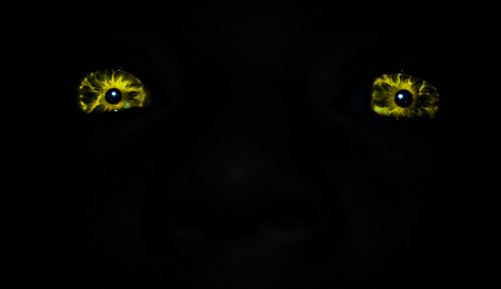 eyes in the dark