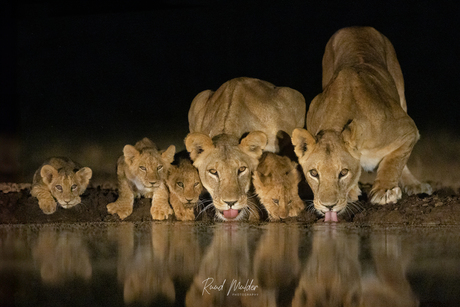 Dorst!