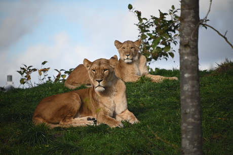 We houden je in de gaten.