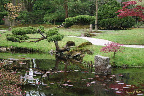 Japanse tuin