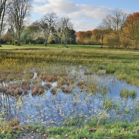 Leipark hdr