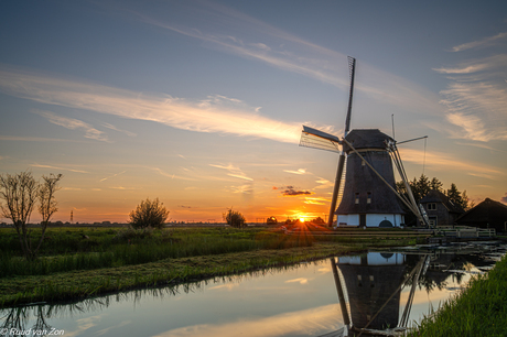 Hollands Glorie in de avondzon