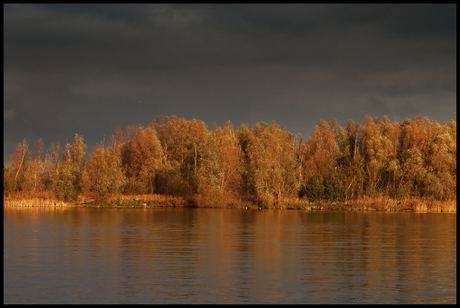 Herfstkleuren