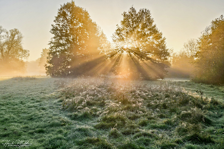 "Stralende" zon