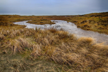 De Hors, Texel