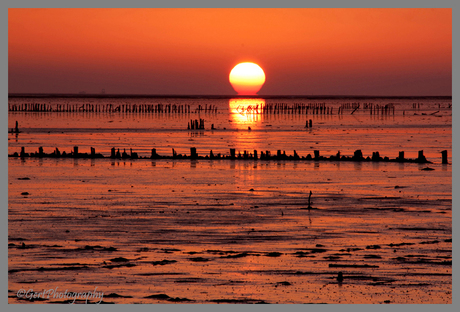 Wat? Nee, het Wad!