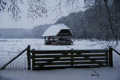 winter in Limburg