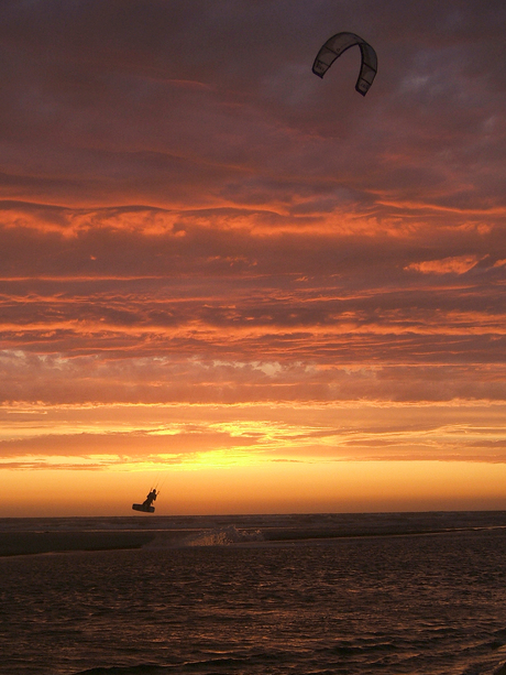 kite by night