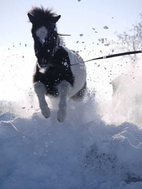 Snow Jumper