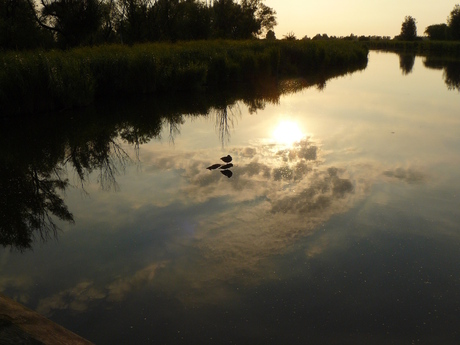 Oostvaardersplassen 2010 met de oude FZ8