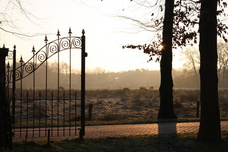 Koude winterochtend