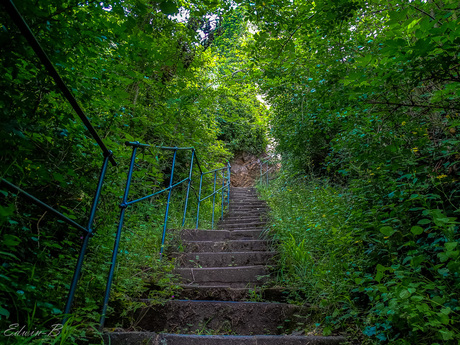 Stairway to Heaven?