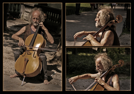 DE CELLIST II