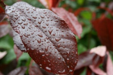 Regenachtige ochtend