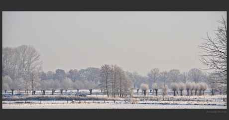 winterlandschap