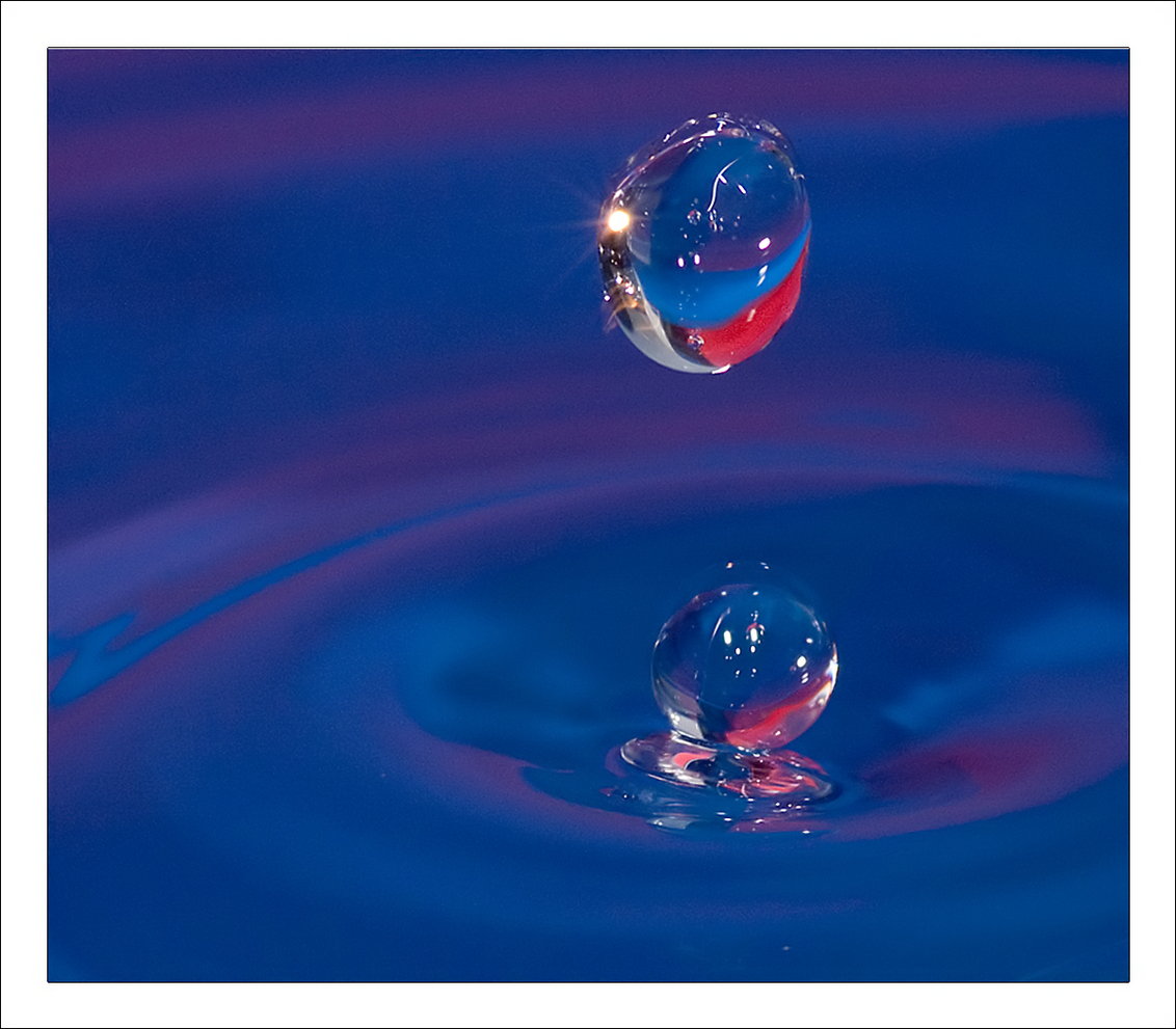 Red & Blue Drop part 2 - Nogmaals een van de druppel, nu door neat image gehaald. (dank voor de tip)

Ben benieuwd wat jullie zoomers ervan vinden.

Alvast een fijne jaar - foto door Christiaan_zoom op 31-12-2009 - deze foto bevat: rood, macro, blauw, water, druppel, christiaan