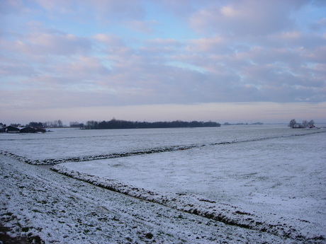 Winter in de polder