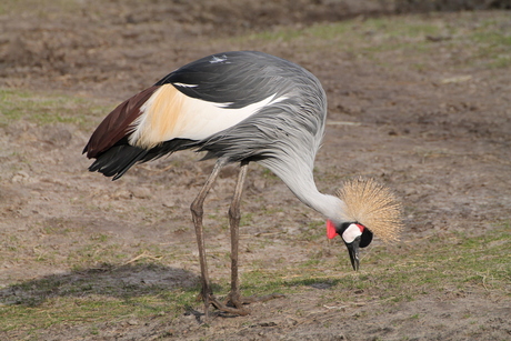 Noorder Dierenpark