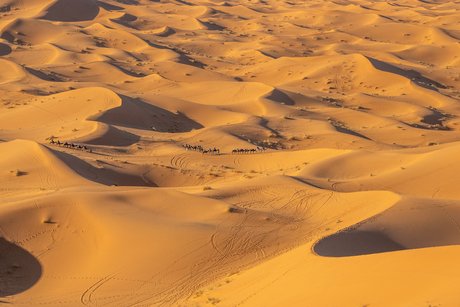 Uitzicht over de Sahara