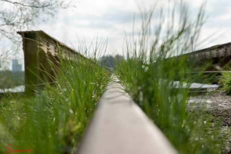 Moerputten - brug